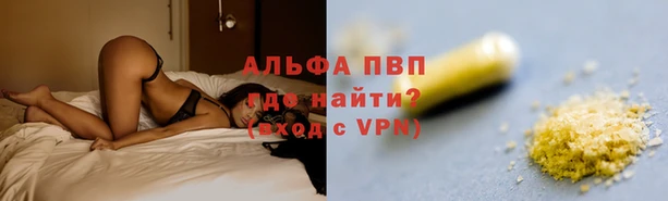 ECSTASY Волоколамск