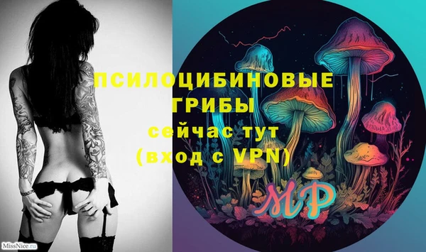ECSTASY Волоколамск