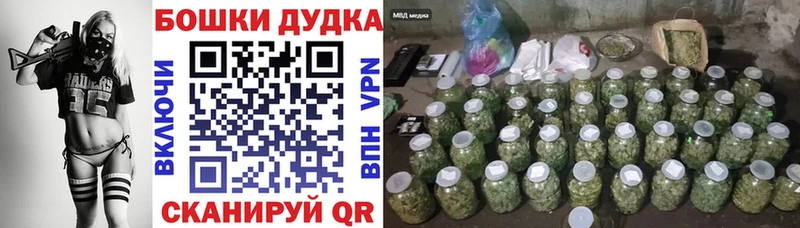 Купить закладки  Кинешма  Канабис марихуана 